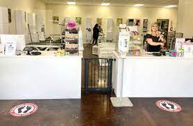 Archbishop kyprianou street, kiti, 7550, cyprus. Posh Paws Grooming Salon City Of Rocklin