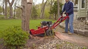 Maybe you would like to learn more about one of these? 3 Factors To Consider When Selecting A Stump Grinder Green Industry Pros