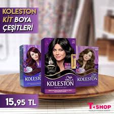 Pin By Tshop On Sac Bakim Wella Koleston Book Cover Wella