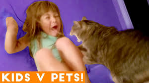 Ultimate Cute Pets Vs Epic Kids Fails Compilation Funny Pet Videos February 2018 Youtube Animals are weird, wild, untamed and even funny!