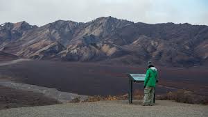 Denali national park is found in the interior of alaska and is reachable by train or by road. Driving The Denali Park Road A Unique Once In A Lifetime Experience During Road Lottery
