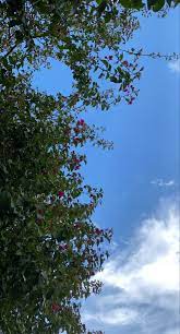 حبك سماء photo clouds outdoor