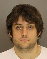 Suspect pleads guilty in molestation cases