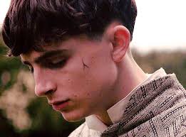 Reader, Lover, Writer — King Hal x reader where it was an arranged...