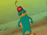 Maybe you would like to learn more about one of these? Best Perry The Platypus Gifs Primo Gif Latest Animated Gifs