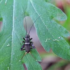 Charlotte parkes nudes porn showed up on the right time