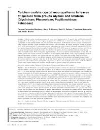 Image result for Eminia antennulifera