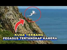 Dalam video itu, terlihat sesosok seperti malaikat yang sedang menaiki kuda terbang. Download Kuda Terbang 3gp Mp4 Codedwap