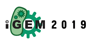 2019 (mmxix) was a common year starting on tuesday of the gregorian calendar, the 2019th year of the common era (ce) and anno domini (ad) designations, the 19th year of the 3rd millennium. Annual Review 2019 Igem Org