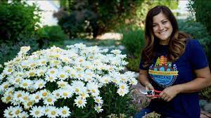 Have you ever wondered how to cut back your perennial flowers in spring? Cutting Back Perennials Garden Answer Youtube