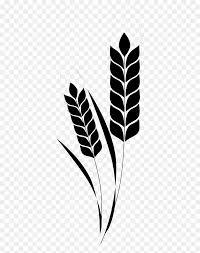 Conjunto de flores o de frutos que se insertan a lo largo de. Espiga Png Transparent Png Vhv