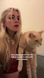 My Boy Cat When My Friends Come from The Bar