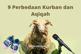 Abal aban abang abangan abangga abangmu abangnya abar abaran abas abasiah abatoar abau abbreviata abc abdas abdi abdikasi abdomen abdominal abdu abductee abduh abduksi abduktor abdul abdullah abdurrahman abe abece abel abelmaschus abelmoschus aben aberasi abesif abet abi abian abid. 9 Perbedaan Penting Kurban Dan Aqiqah Dalam Al Quran Dan Hadis