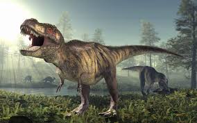 T Rex Como Era Realmente El Rey De Los Dinosaurios Muy Interesante En 2020 Ilustracion De Dinosaurios Dinosaurios Imagenes Dinosaurios