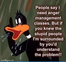 Pin By Tammy Barton On Lol Stupid People Funny Looney Tunes Funny Stupid People The show features characters from the looney tunes and merrie melodies theatrical cartoons updated for the 21st century. stupid people funny