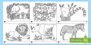 Learn vocabulary, terms and more with flashcards, games and other only rub 220.84/month. Tiere Und Pflanzen Wildtiere Sachunterricht Tiere Und Pflanzen