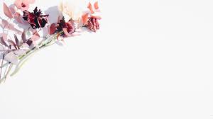 The ability to change zoom backgrounds is one of the service's best features (and being copied by other video chat apps) while you use it to work from home during the ongoing coronavirus pandemic. White Zoom Background Images Free Virtual Video Meeting Backgrounds