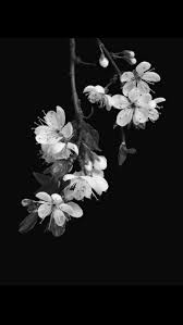 Aesthetic Flower Wallpaper Black And White Flowers are one of the most beautiful creations of nature.