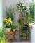 Patio Plants In Pots