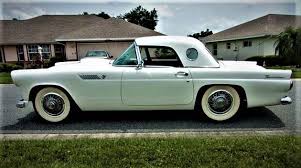 Image result for Snowshoe White 1955 Thunderbird