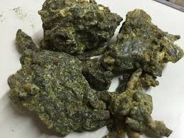 Image result for Gardenia resinifera