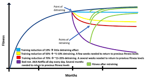 Image result for training effect schema