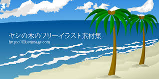 この画像には多数のココヤシの木があります。現場で 1 つ 1 つ数えたり、画像を見ながら数えたりすると、数日かかります。ディープ ラーニング モデルをこの作業に利用するために、モデルのトレーニングに使用できるヤシの木の小型サンプルを作成します。 ã¾ã¨ã ã¤ã·ã®æ¨ã®ç¡æã¤ã©ã¹ãç´ æé ã¤ã©ã¹ãã¤ã¡ã¼ã¸