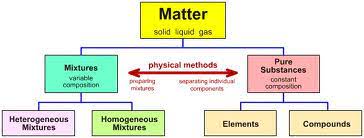 Simply put, we look for the neuronal cell bodies. All About Matter Allaboutmatter