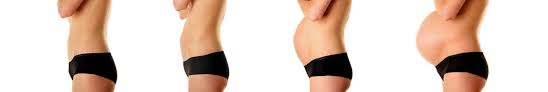 Stages Of Pregnancy Saint Francis Healthcare System Southeast Missouri St Francis Hospital In Cape Girardeau