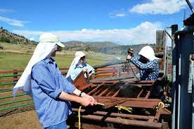 Boniface, a monk of exeter in england, is one of the great figures of the benedictine order and of the monastic apostolate in the middle ages. Nuns On The Ranch Something S Very Different About This Colorado Foothills Cattle Operation Thefencepost Com