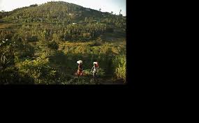 Total and new cases, deaths per day, mortality and recovery rates, current active cases, recoveries, trends and timeline. Rwanda How Trade In Banned Alcohol Wrecks Lives Institute For War And Peace Reporting