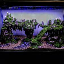 Besar atau kecil aquarium perlu anda tetapkan. Jual Jasa Pembuatan Aquascape Bebas Request Kota Tangerang Selatan M R Aquascape Tokopedia