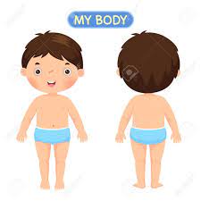 Ilustracion Vectorial De Un Nino Que Muestra Las Partes Del Cuerpo Ilustraciones Vectoriales Clip Art Vectorizado Libre De Derechos Image 63995298