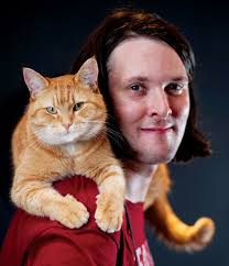 Saved by a cat called Bob