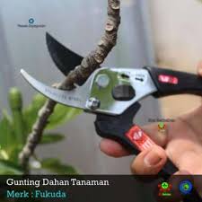 Check spelling or type a new query. Jual Produk Gunting Dahan Harga Promo Diskon Blibli Com