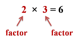 Factor Calculator Omni