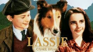 Shawn and gus return to santa barbara, california to help their old police chief, but find themselves unwelcome in their old stomping ground as they secretly untangle a case that involves the supernatural. Lassie S Great Adventure 1963 Full Movie Captioned Youtube