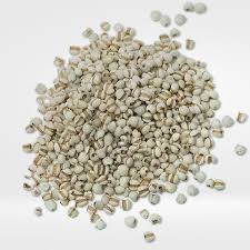 Image result for Coix