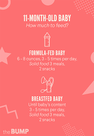 Your baby should still be having about a pint (600ml) of breastmilk or formula a day until he's 12 months old, but once he's fully established on solids and eating well, you may find he doesn't want as much milk. 11 Month Old Baby