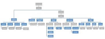Organizational Chart Robinsons Land Corporation