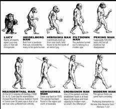 Butterfly Wings Tattoo Evolution Of Man Chart