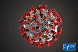 New scam targeting online bankers | nine news australia. Nsw Update On Covid 19 Nativity School Of Worcester