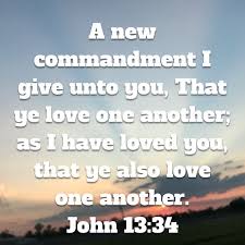 Pin By Sandy Rose On Bible Bible Apps First Love Love You