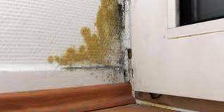 .richtig mosaiktisch selber machen » anleitung in 3 schritten bodengleiche dusche einbauen: Warnung Vor Abzocke Bei Wespen Nest Entfernung