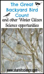 Coasterdad is mostly about roller coasters. Share It Science The Great Backyard Bird Count And Other Winter Citizen Science Projects