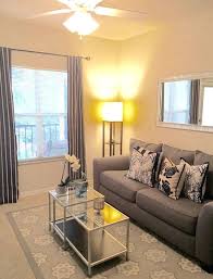 Apartment Decorating Ideas Living Room