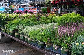 Maybe you would like to learn more about one of these? Lowes Home Improvement Store Monrovia Plants Home Made By Carmona