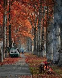 100 Kashmir Images That Will Make You Fall in Love with This Place ...