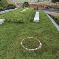 Aug 23, 2016 · plants and flowers infilling with flowers and/or plants can help disguise unsightly drains, manhole covers or inspection chambers. Stainless Steel Plant Grass Manhole Cover Yete Industry