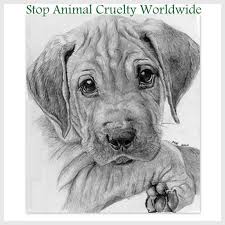 Stop Animal Cruelty Worldwide Realistic Animal Drawings Animal Drawings Dog Drawing